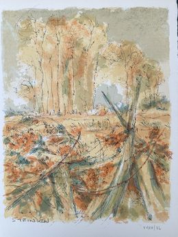 Drucke, Forêt voisine (5), Aimé Daniel Steinlen