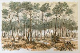 Drucke, Forêt voisine (11), Aimé Daniel Steinlen