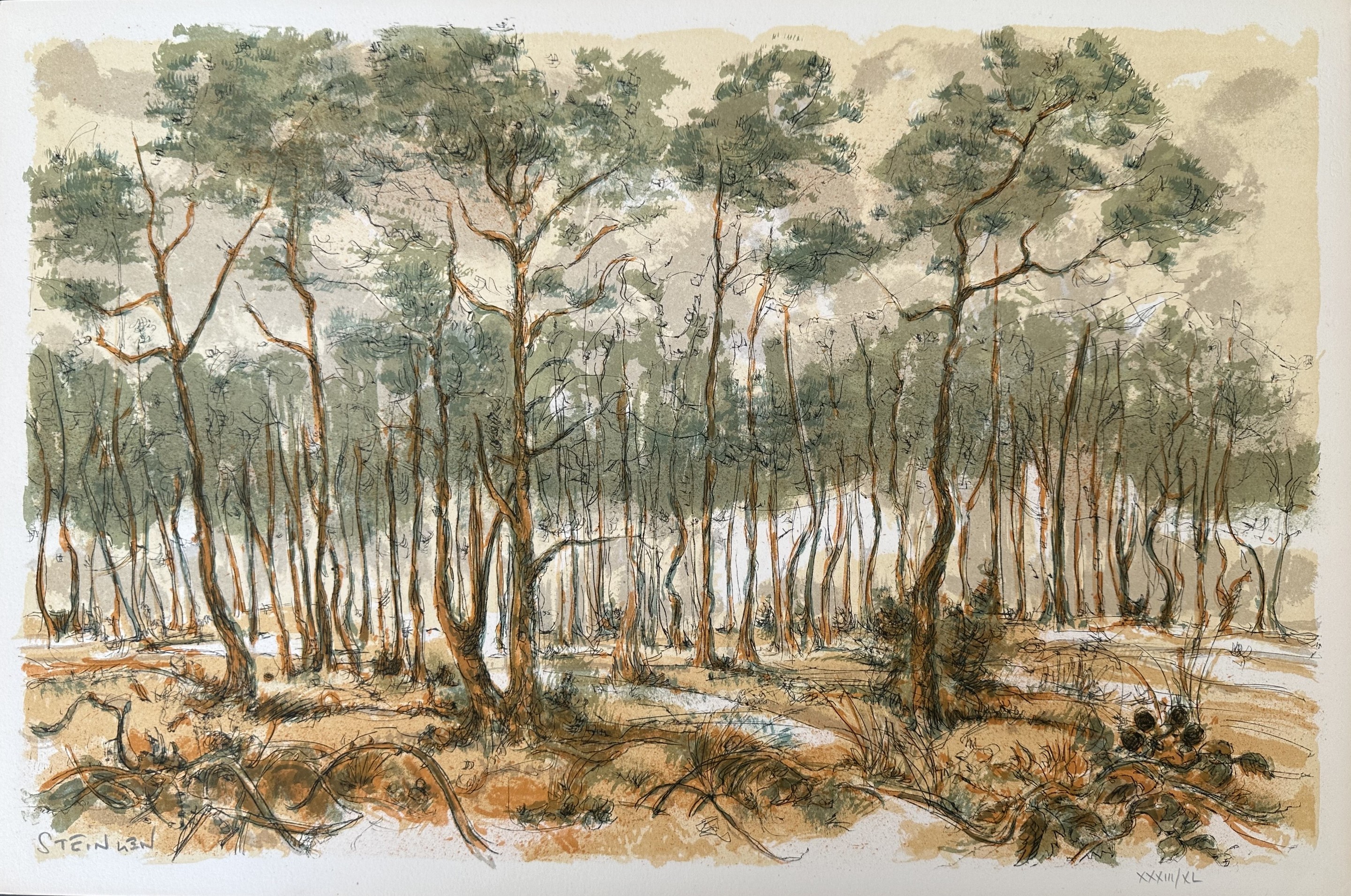 Aimé Daniel Steinlen, Forêt voisine (11) Aimé Daniel Steinlen, Forêt voisine (11)