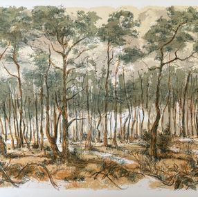 Drucke, Forêt voisine (11), Aimé Daniel Steinlen