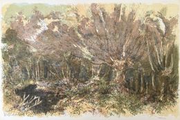 Drucke, Forêt voisine (12), Aimé Daniel Steinlen