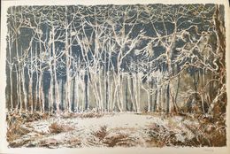 Drucke, Forêt voisine (15), Aimé Daniel Steinlen