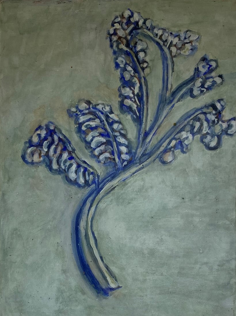 Adéle du Plessis, Sketch of a Fern Adéle du Plessis, Sketch of a Fern