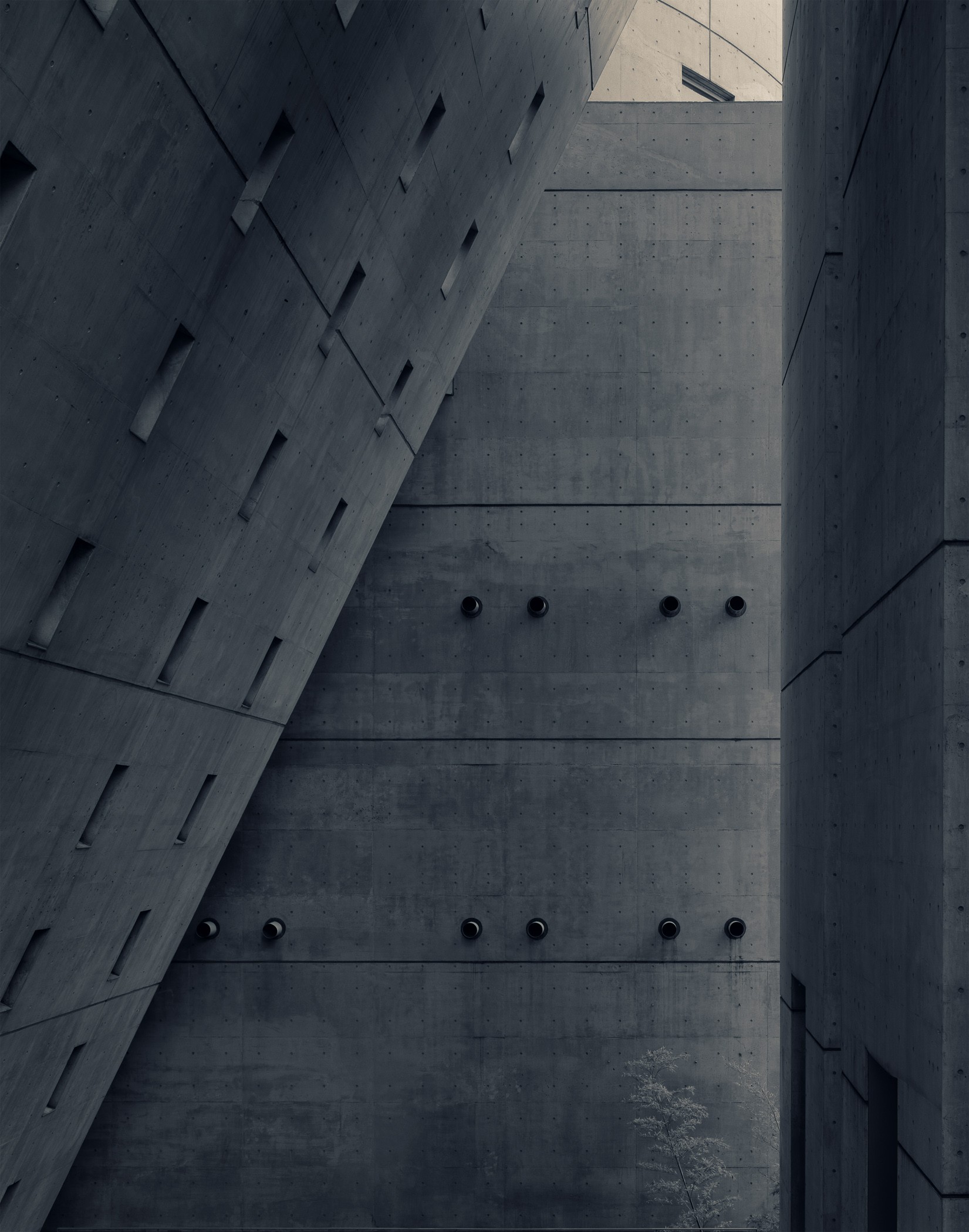 Peter M. Cook, Polished Concrete Aoyama Peter M. Cook, Polished Concrete Aoyama
