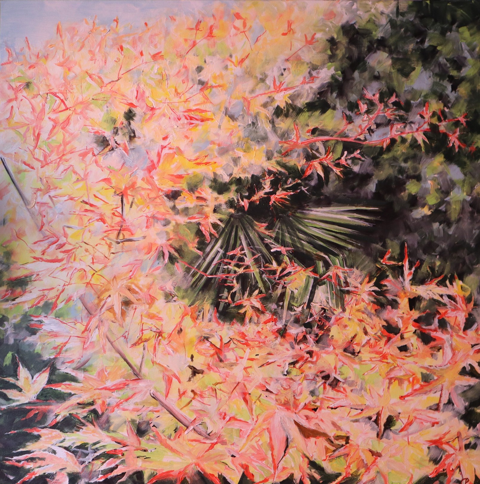 Charlotte Pivard, Erable japonais Katsura Charlotte Pivard, Erable japonais Katsura