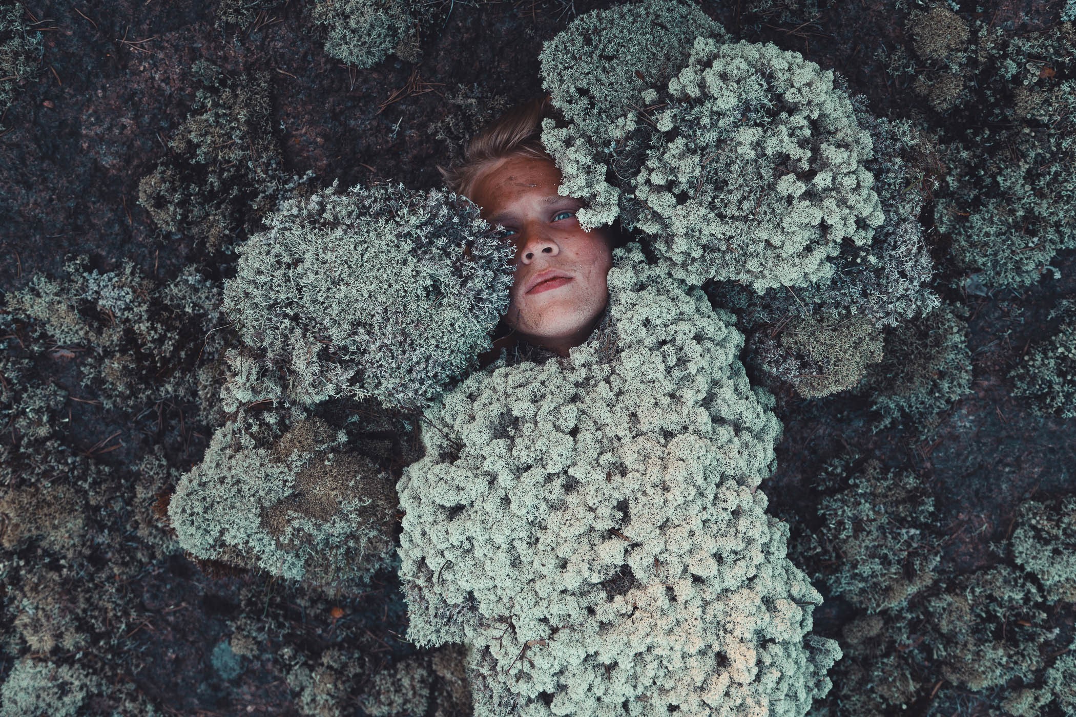 Svante Gullichsen, Covered by Forest Svante Gullichsen, Covered by Forest