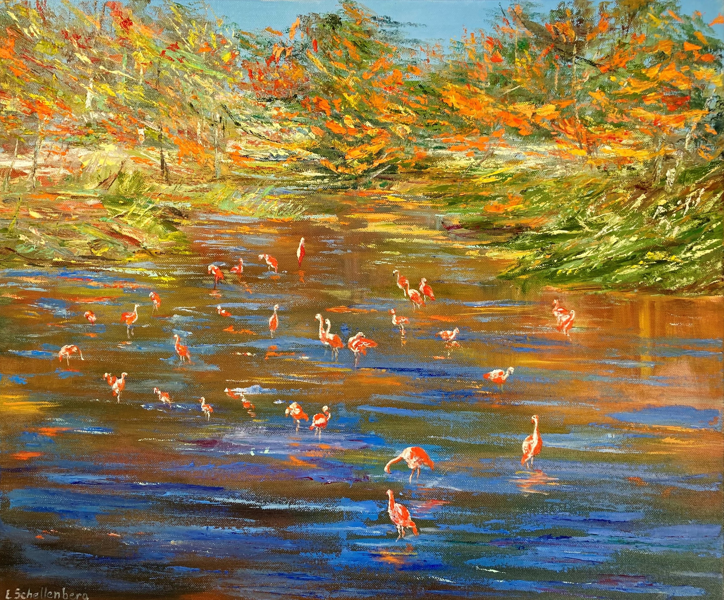 Lusie Schellenberg, Flamingo Lusie Schellenberg, Flamingo