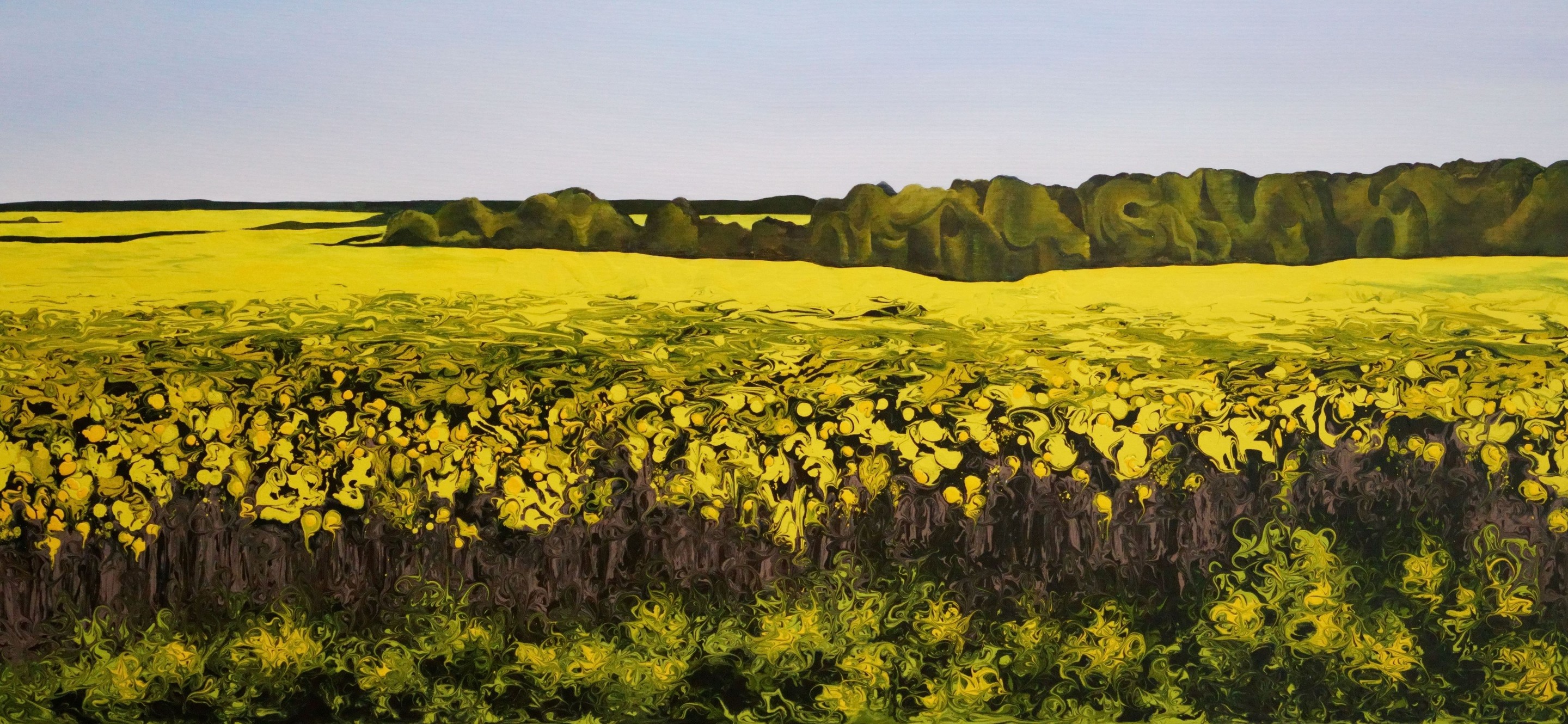 Vera Hoi, Golden Canola Field Vera Hoi, Golden Canola Field
