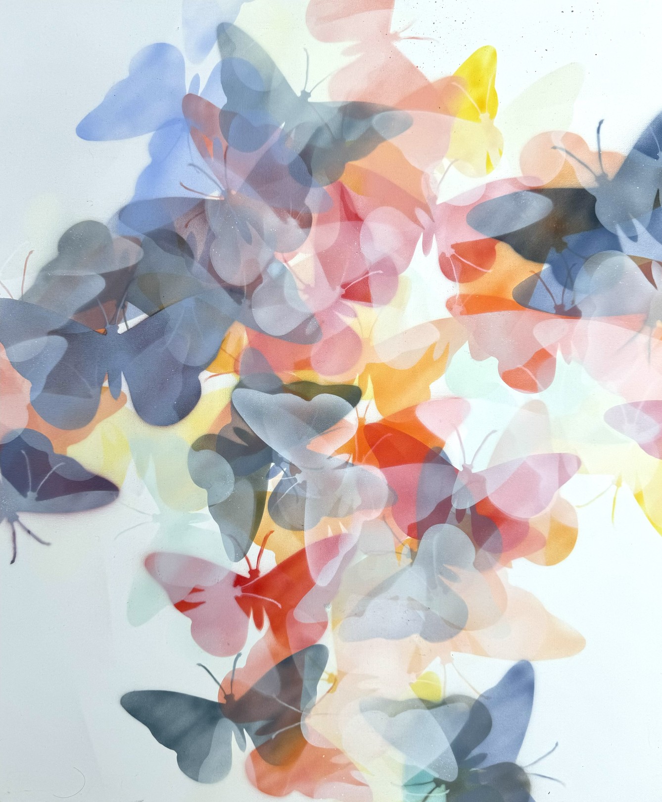 Edewann, Butterflies Edewann, Butterflies