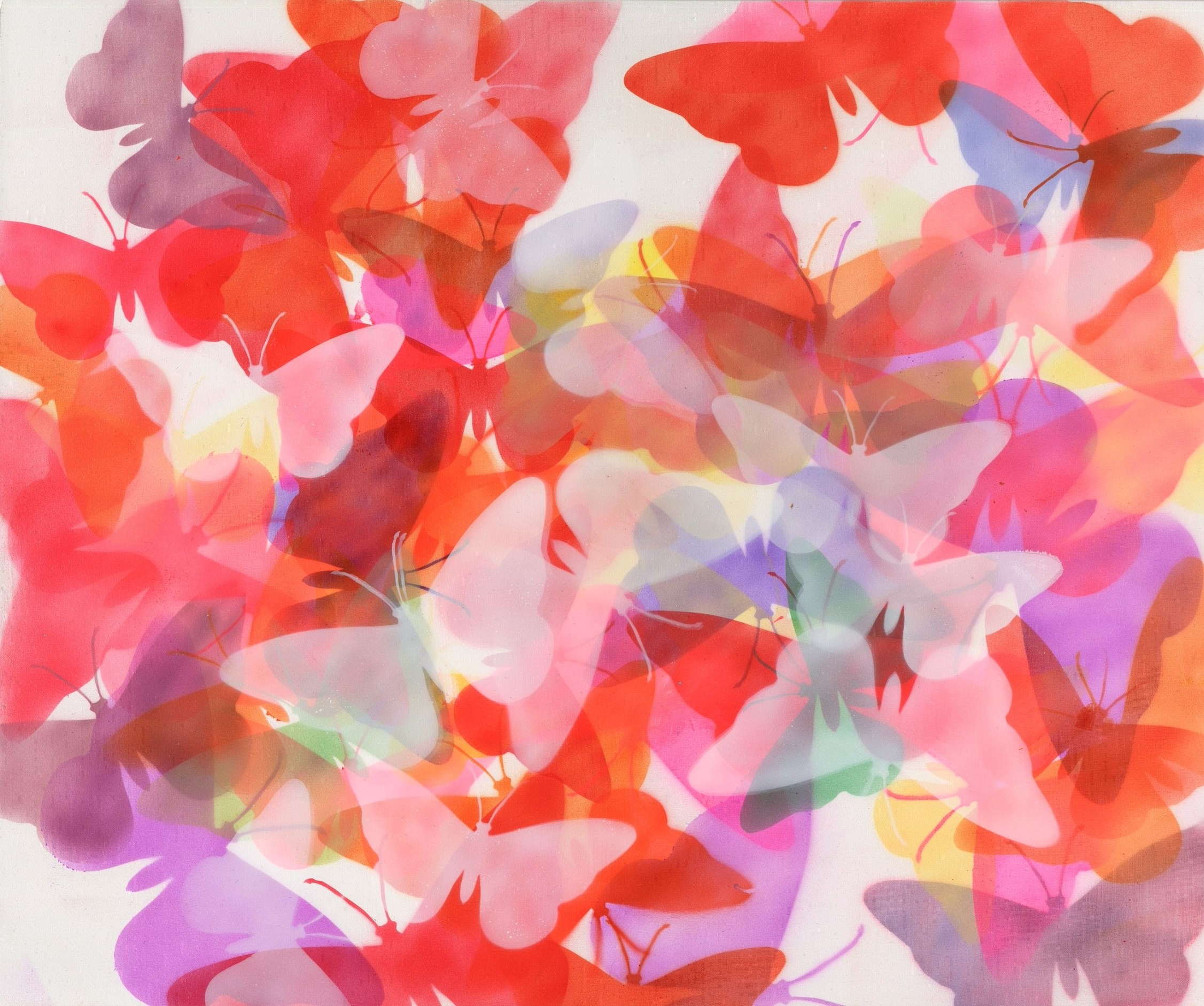 Edewann, Pink Butterflies Edewann, Pink Butterflies
