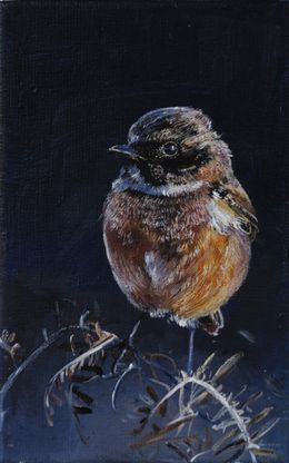 Gemälde, Tarier pâtre - saxicola rubicola, monde animalier et nature, Clara Nomdedeu