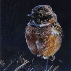 Gemälde, Tarier pâtre - saxicola rubicola, monde animalier et nature, Clara Nomdedeu