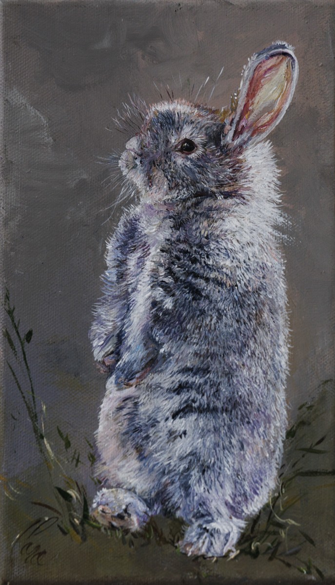 Clara Nomdedeu, Lapinou - Monde animalier et nature Clara Nomdedeu, Lapinou - Monde animalier et nature