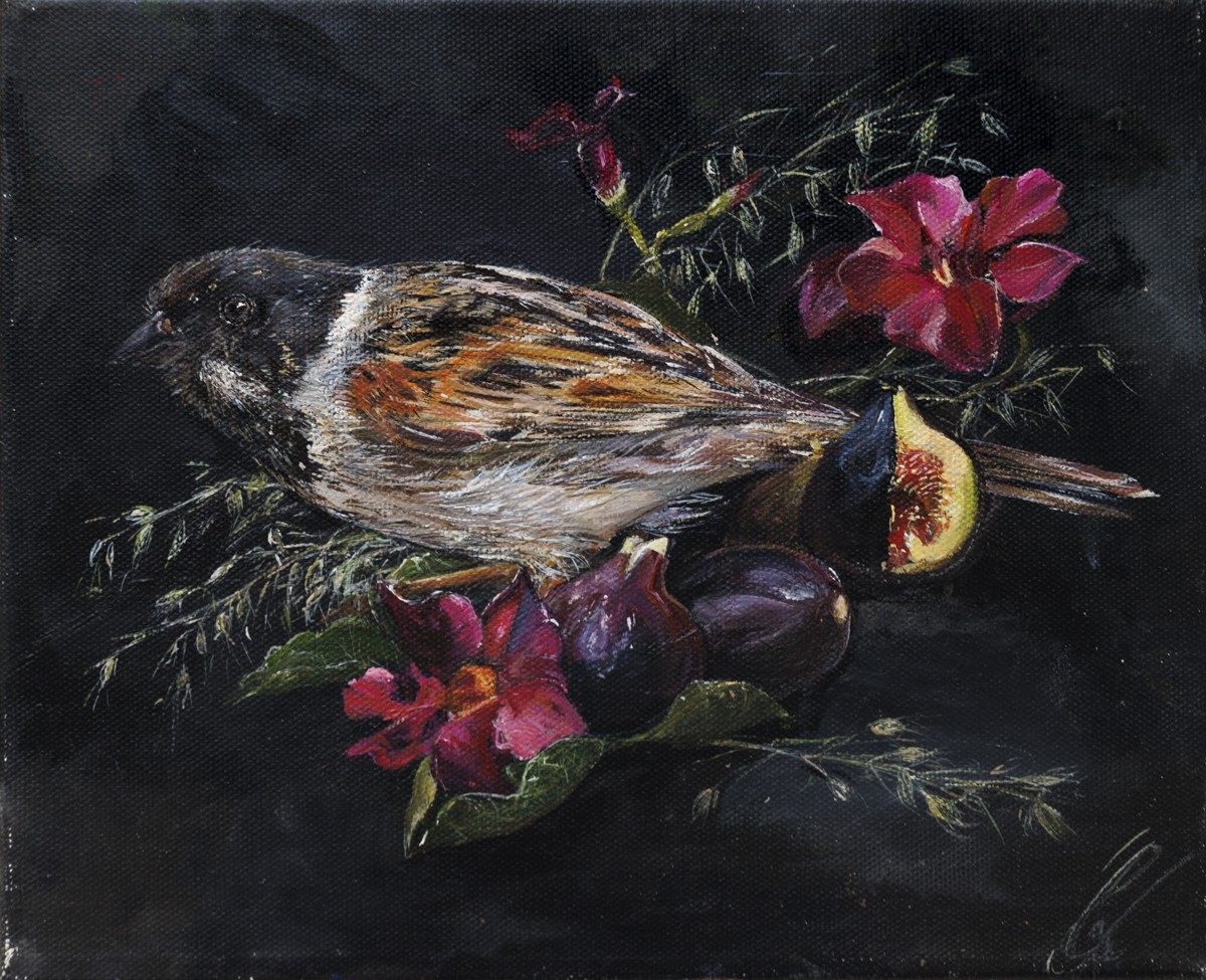 Clara Nomdedeu, Nature morte à la figue - Monde animalier et nature Clara Nomdedeu, Nature morte à la figue - Monde animalier et nature
