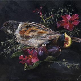 Gemälde, Nature morte à la figue - Monde animalier et nature, Clara Nomdedeu