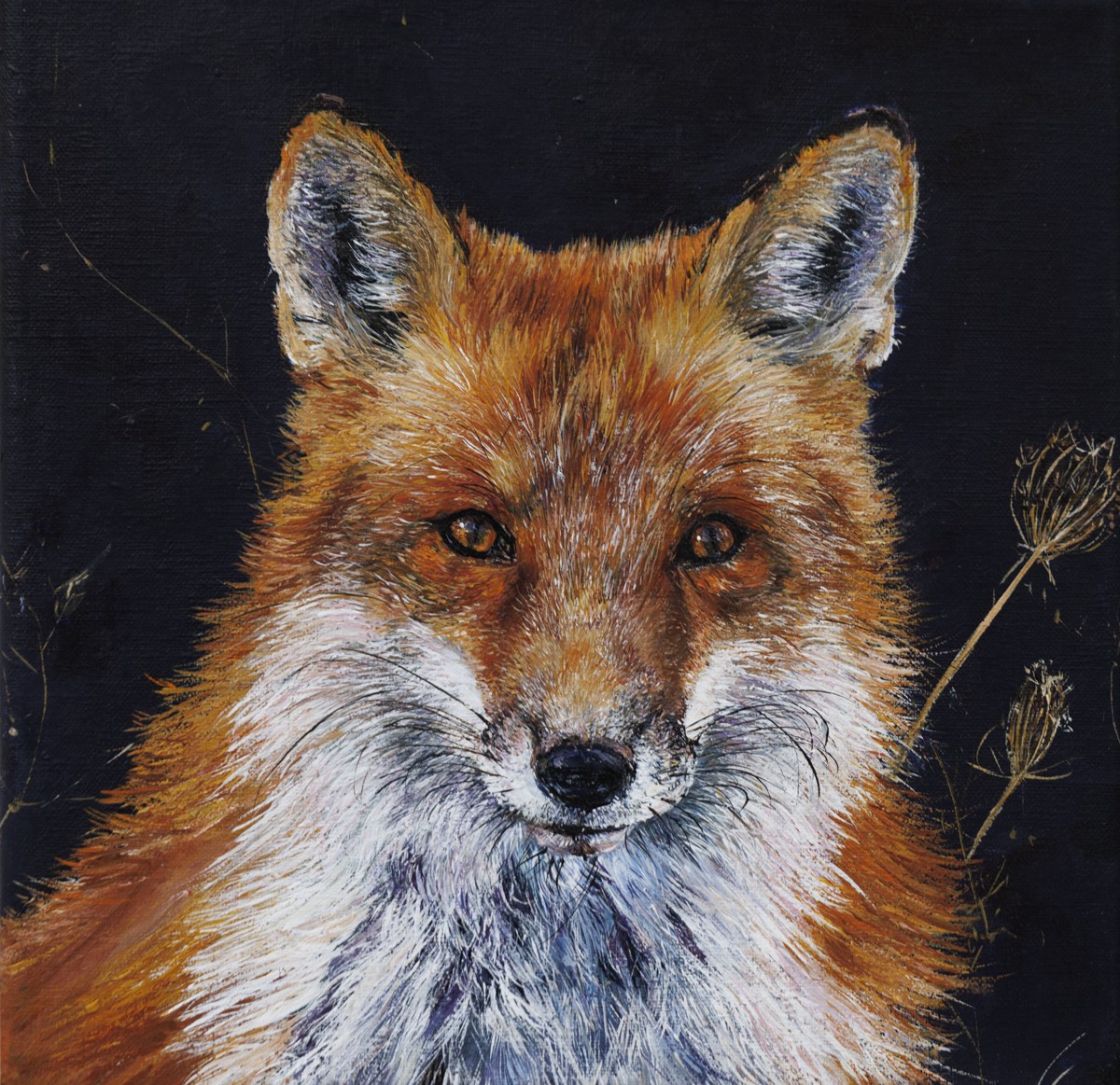 Clara Nomdedeu, Le Renard - Monde animalier et nature Clara Nomdedeu, Le Renard - Monde animalier et nature