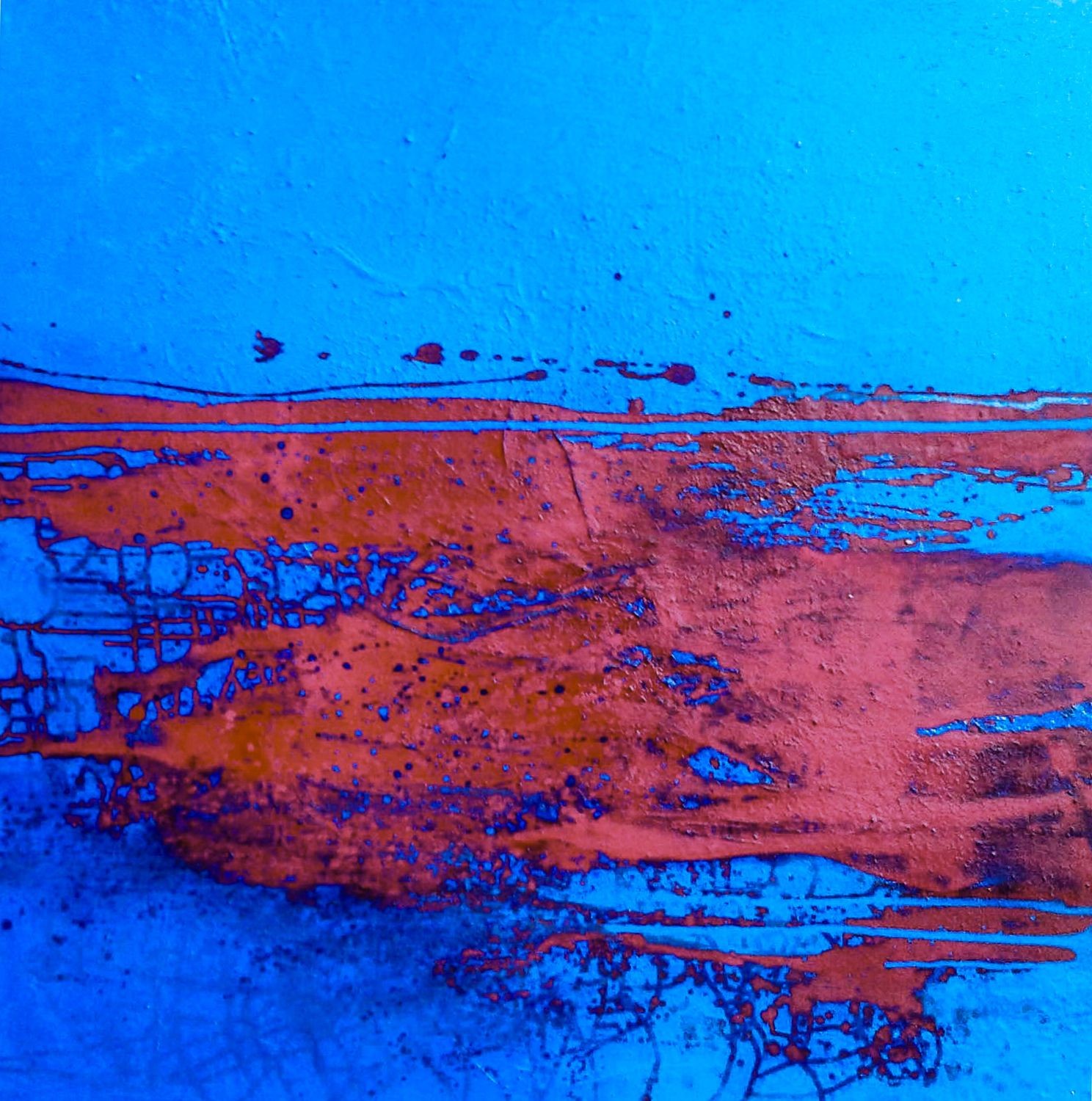 Maryam Shams, NIII Maryam Shams, NIII