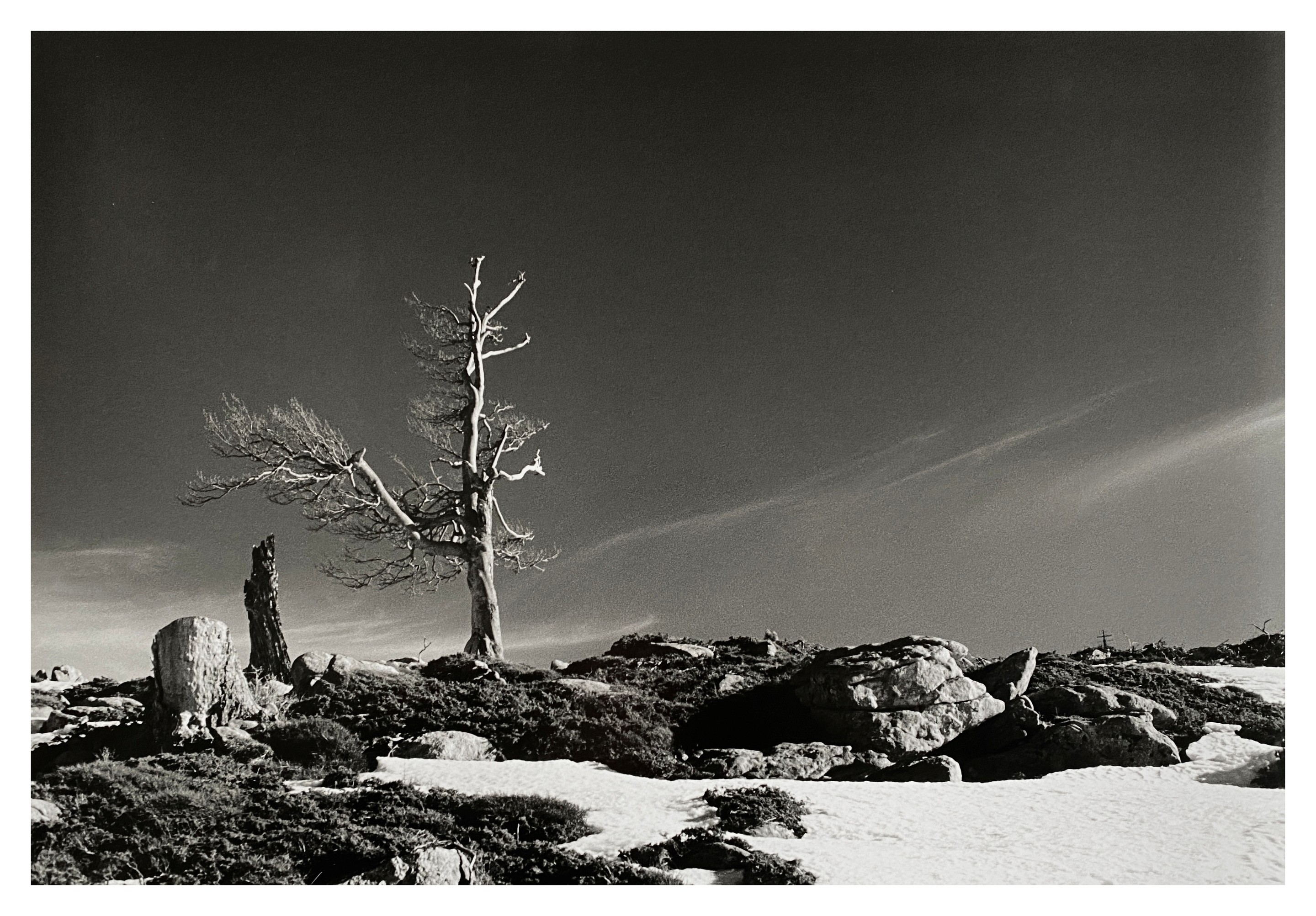 D-A Woisard, Solitude D-A Woisard, Solitude
