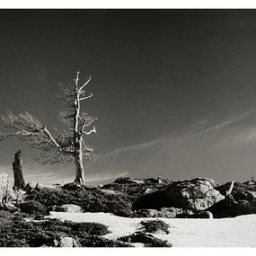 Photography, Solitude, D-A Woisard