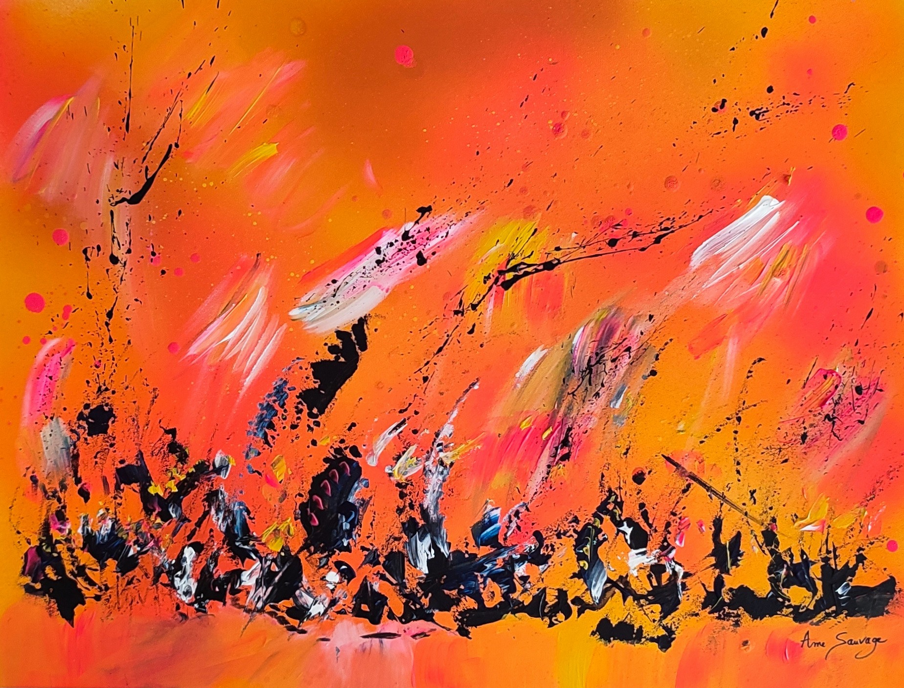 Âme Sauvage, La chaleur rouge Âme Sauvage, La chaleur rouge