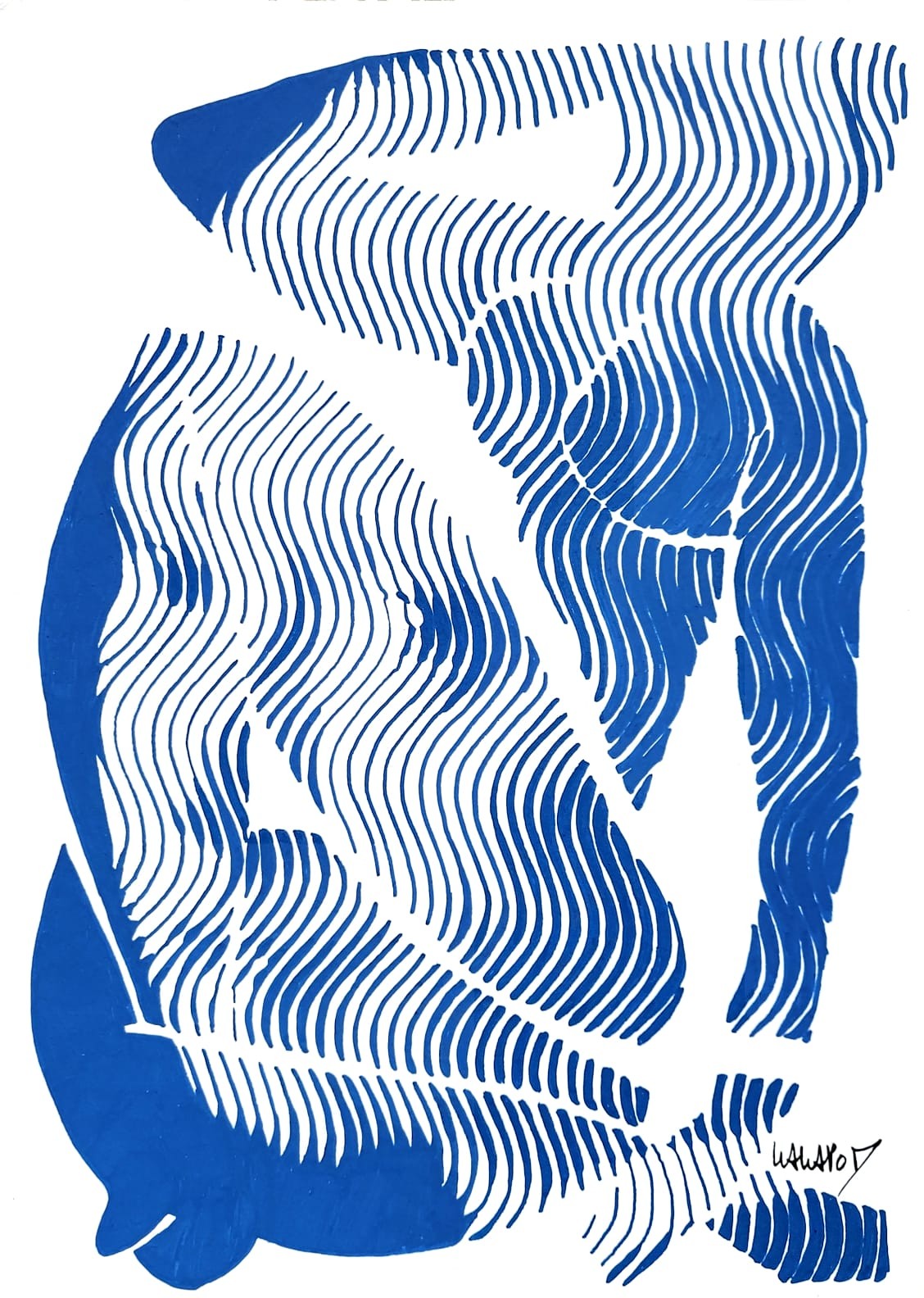 Wawapod, Vermeer Matisse Lines Wawapod, Vermeer Matisse Lines
