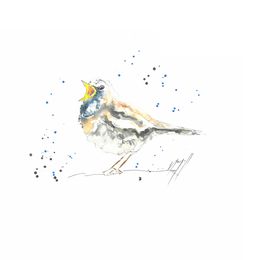 Fine Art Drawings, Notre Pioupiou du jardin !, Noël Granger