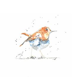 Fine Art Drawings, Le retour de notre Rouge-gorge du jardin !, Noël Granger