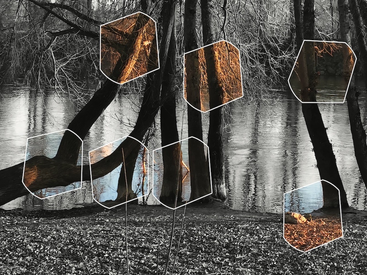 Jean-Claude Byandb, Duo Arbres Jean-Claude Byandb, Duo Arbres