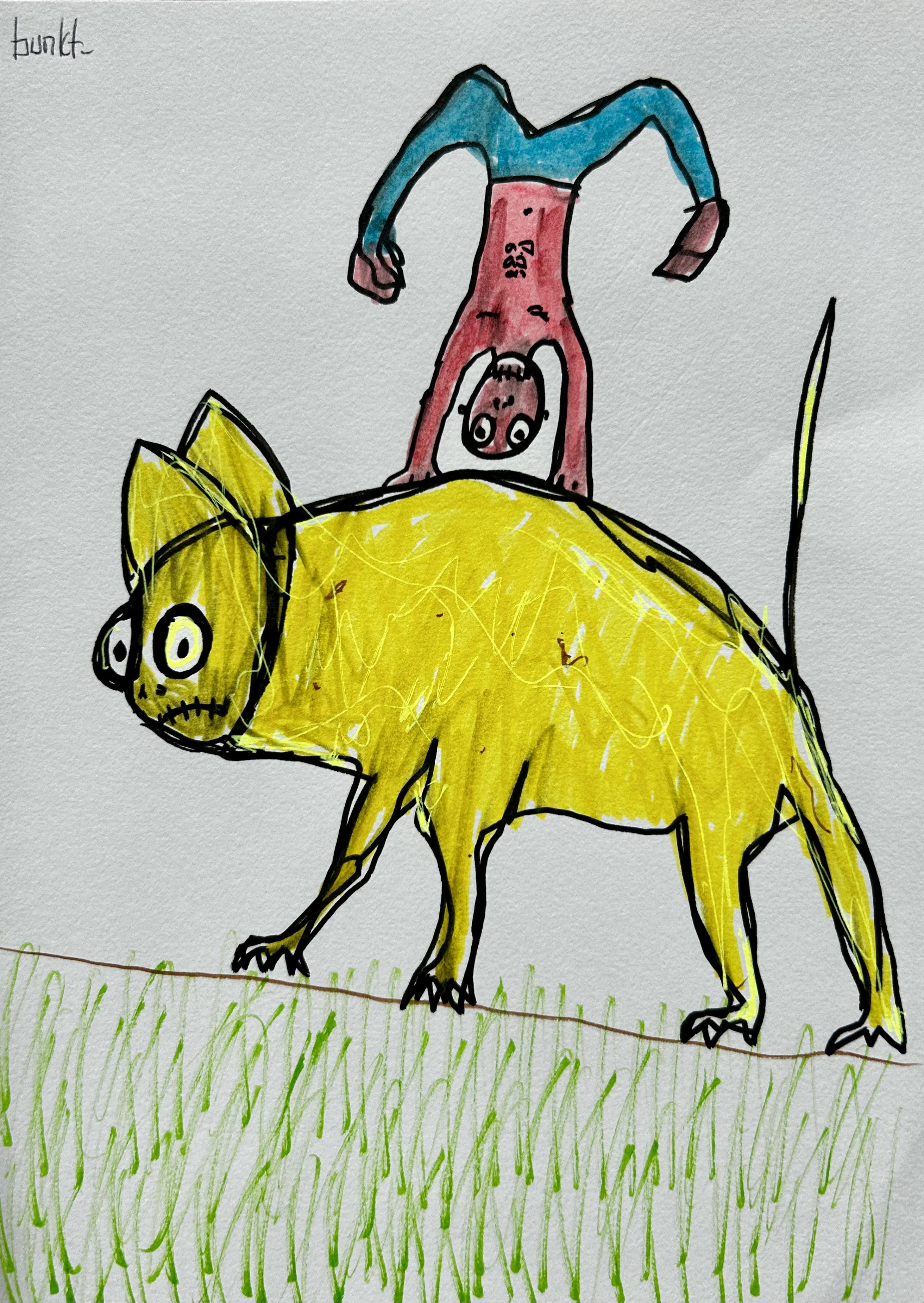 Bunkt_, Handstand on a yellow cat Bunkt_, Handstand on a yellow cat