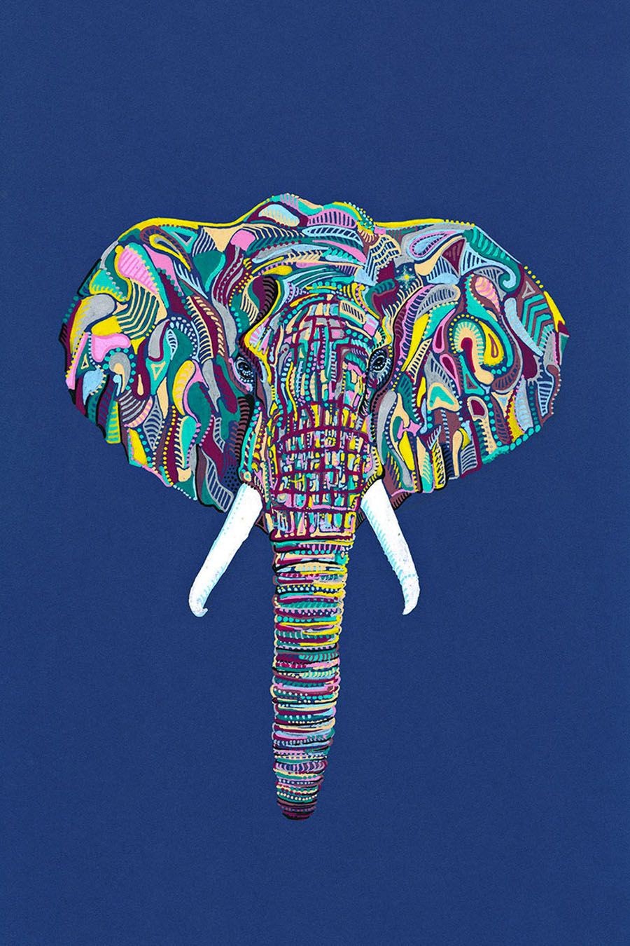 Mox, Éléphant Mox, Éléphant