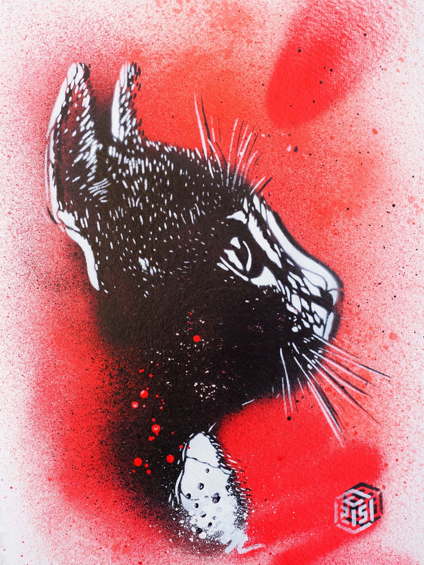 C215, Chat C215, Chat