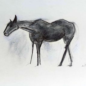 Fine Art Drawings, Cheval, Lionel le Jeune