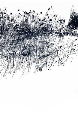 Photography, Ashi Yuki, Adrianna MJW