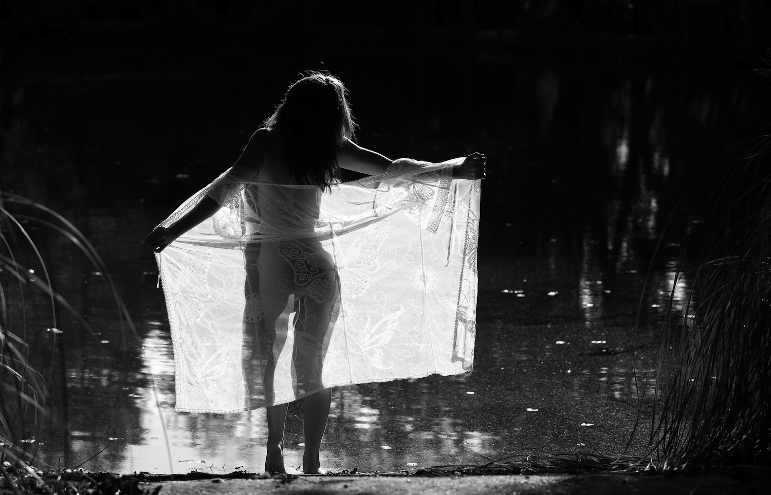 Regis Duvignau, Ode au bain Regis Duvignau, Ode au bain