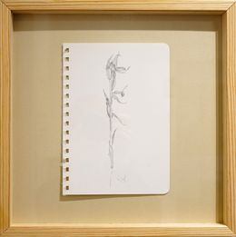 Fine Art Drawings, Drawing of Dried Serapias 1, Lyuben Domozetski