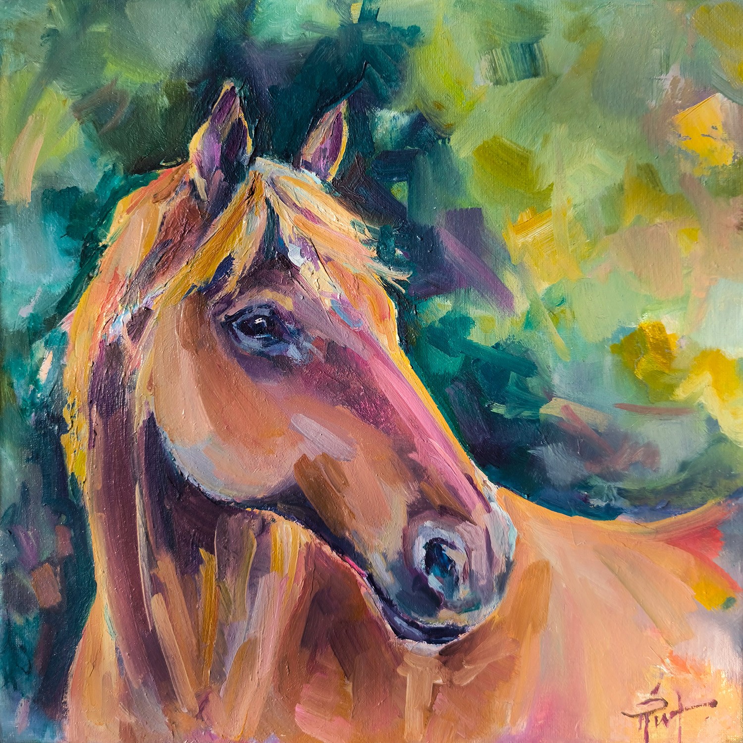Julia Ruf, Horse Julia Ruf, Horse