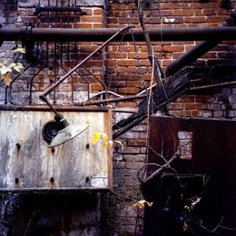 Photographie, Unhinged, Kiritin Beyer