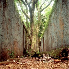 Photography, Standing Tall, Kiritin Beyer