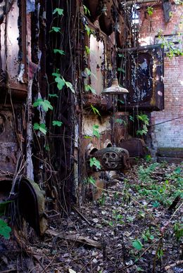Photographie, Regrow, Kiritin Beyer