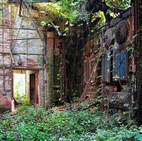 Photography, Nature's Orchestra, Kiritin Beyer
