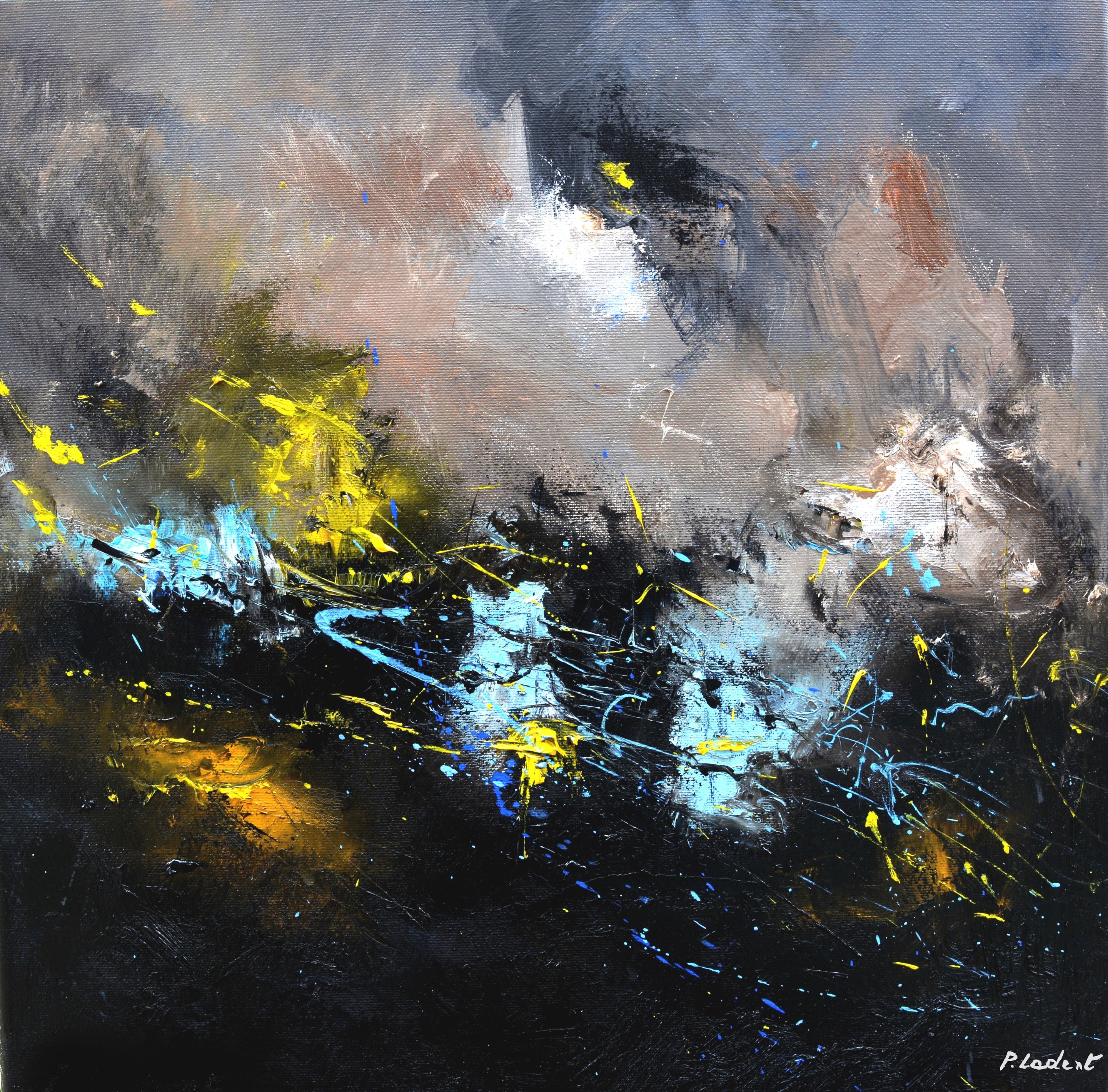 Pol Ledent, Swans' lake Pol Ledent, Swans' lake