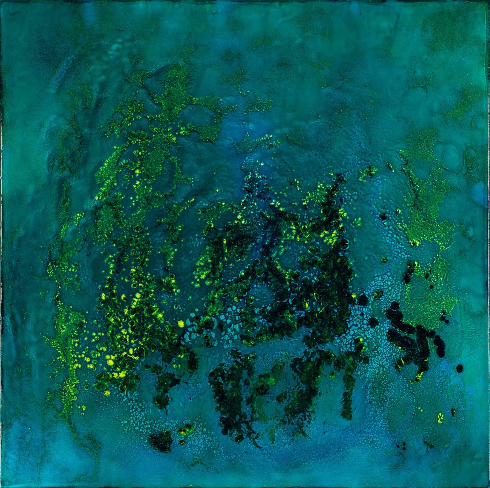 Davide Vinattieri, Flora palustre Davide Vinattieri, Flora palustre