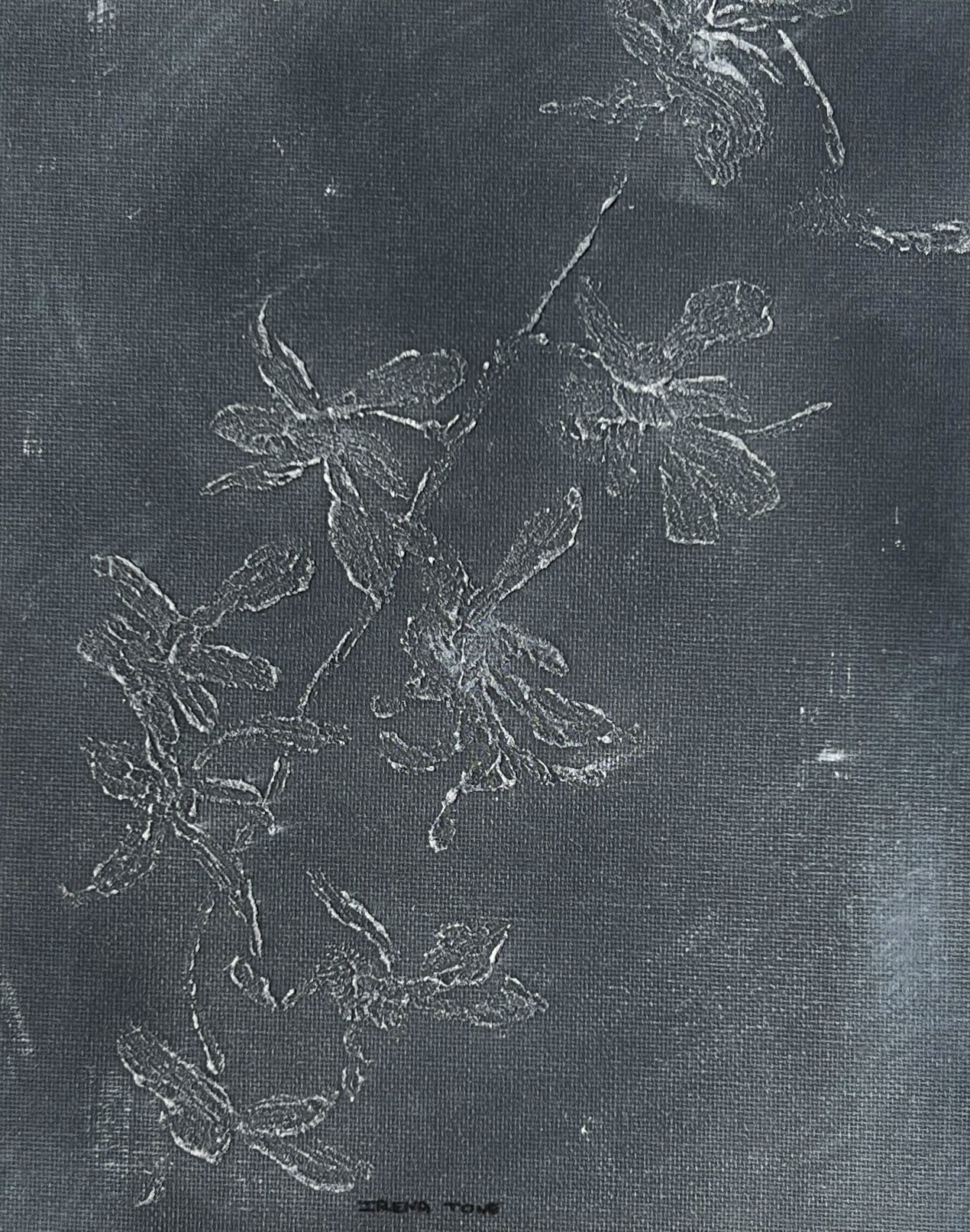 Irena Tone, Flowering Branch Irena Tone, Flowering Branch