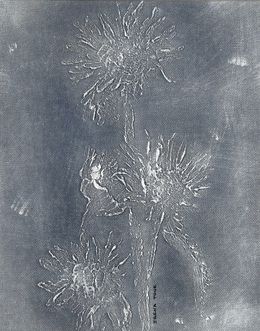 Peinture, Flowers from my field, Irena Tone