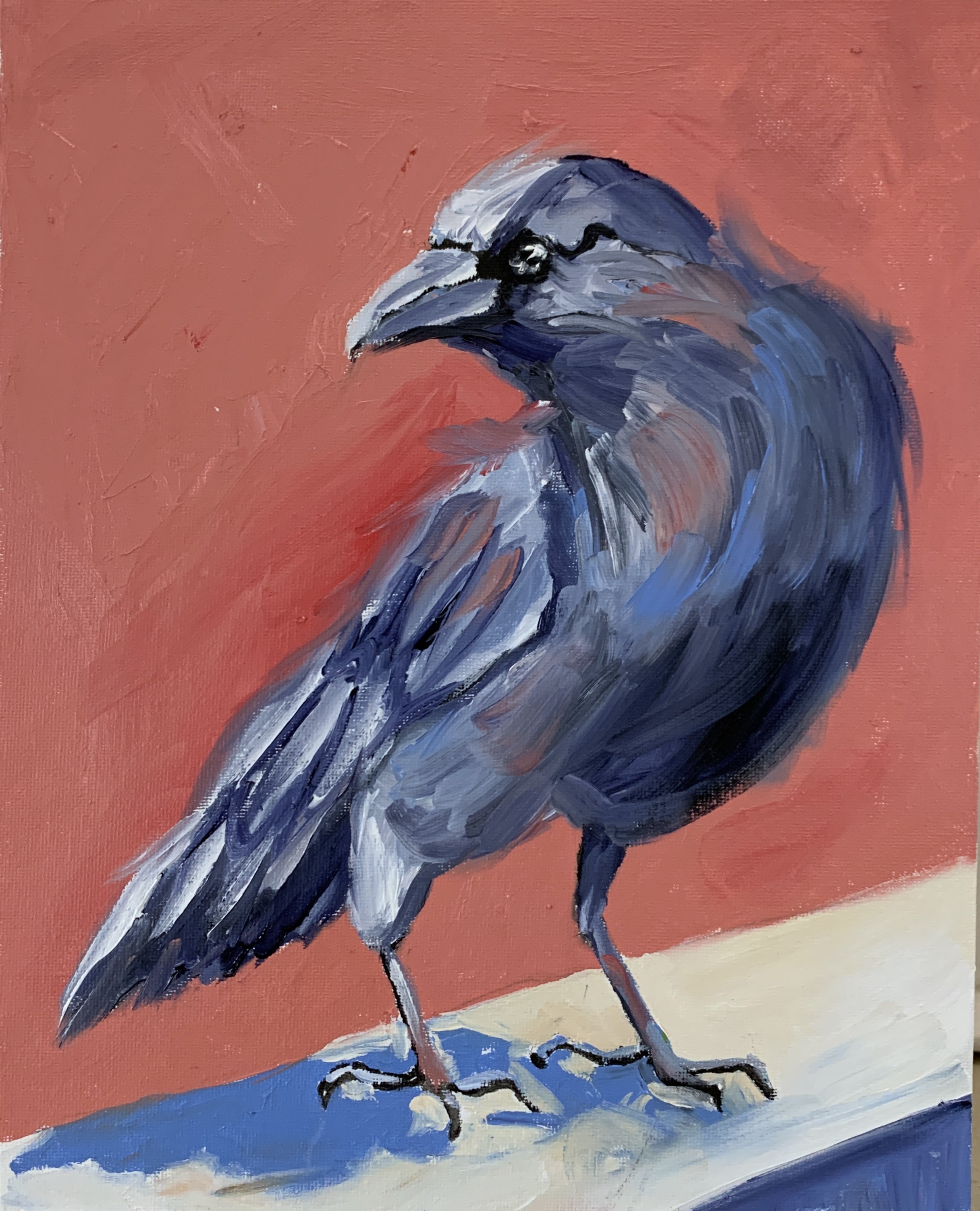 Schagen Vita, Raven Schagen Vita, Raven
