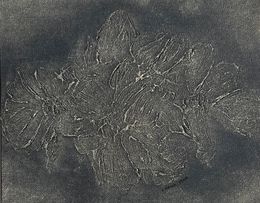 Painting, Wild Rose in Grey, Irena Tone