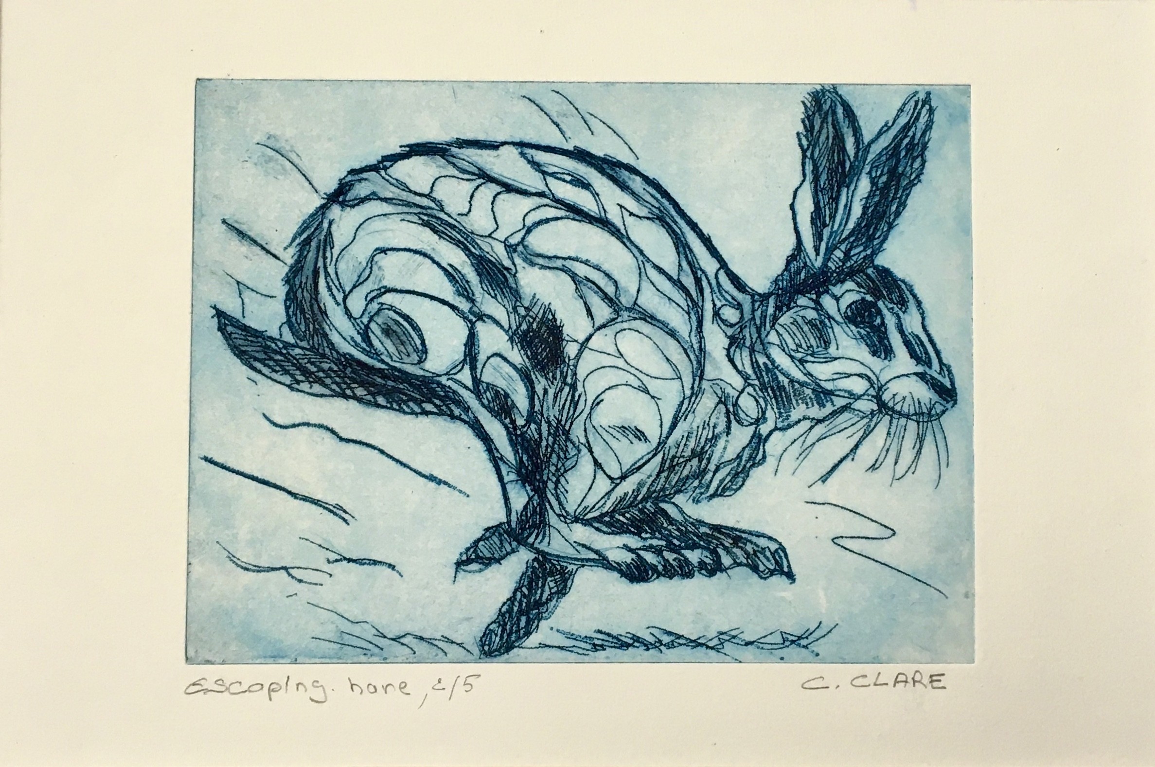 Catherine Clare, Escaping hare N° 2/5 Catherine Clare, Escaping hare N° 2/5