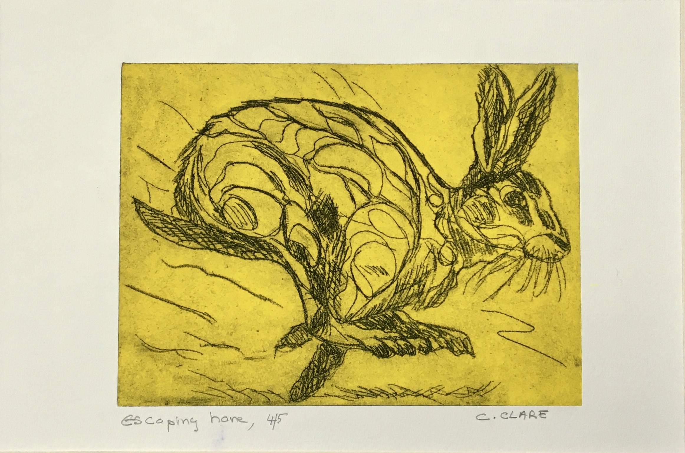 Catherine Clare, Escaping hare N° 4/5 Catherine Clare, Escaping hare N° 4/5