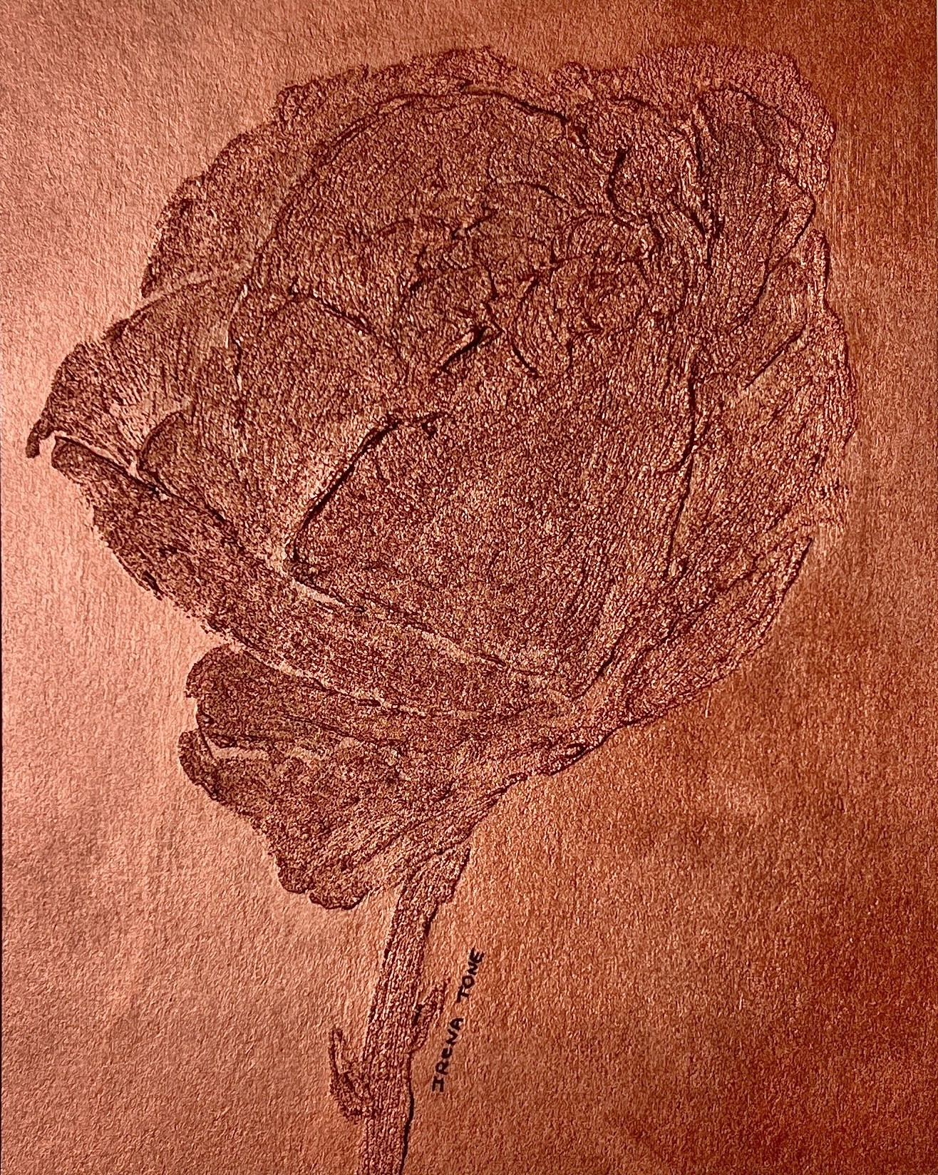 Irena Tone, My Bronze Rose Irena Tone, My Bronze Rose