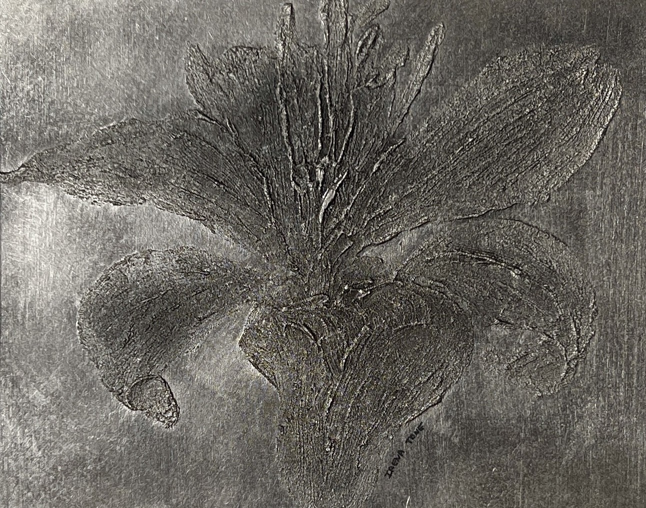 Irena Tone, My Silver Lily Irena Tone, My Silver Lily
